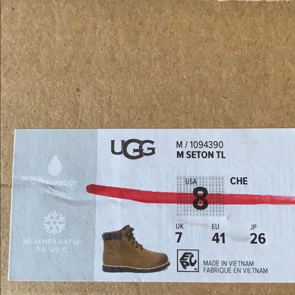 UGG MEN’S SETON TL. CHESTNUT Waterproof main image 6